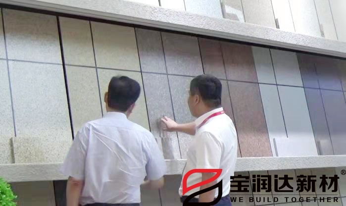 市人大常委會(huì)黨組書(shū)記劉明亮蒞臨寶潤(rùn)達(dá)參觀考察